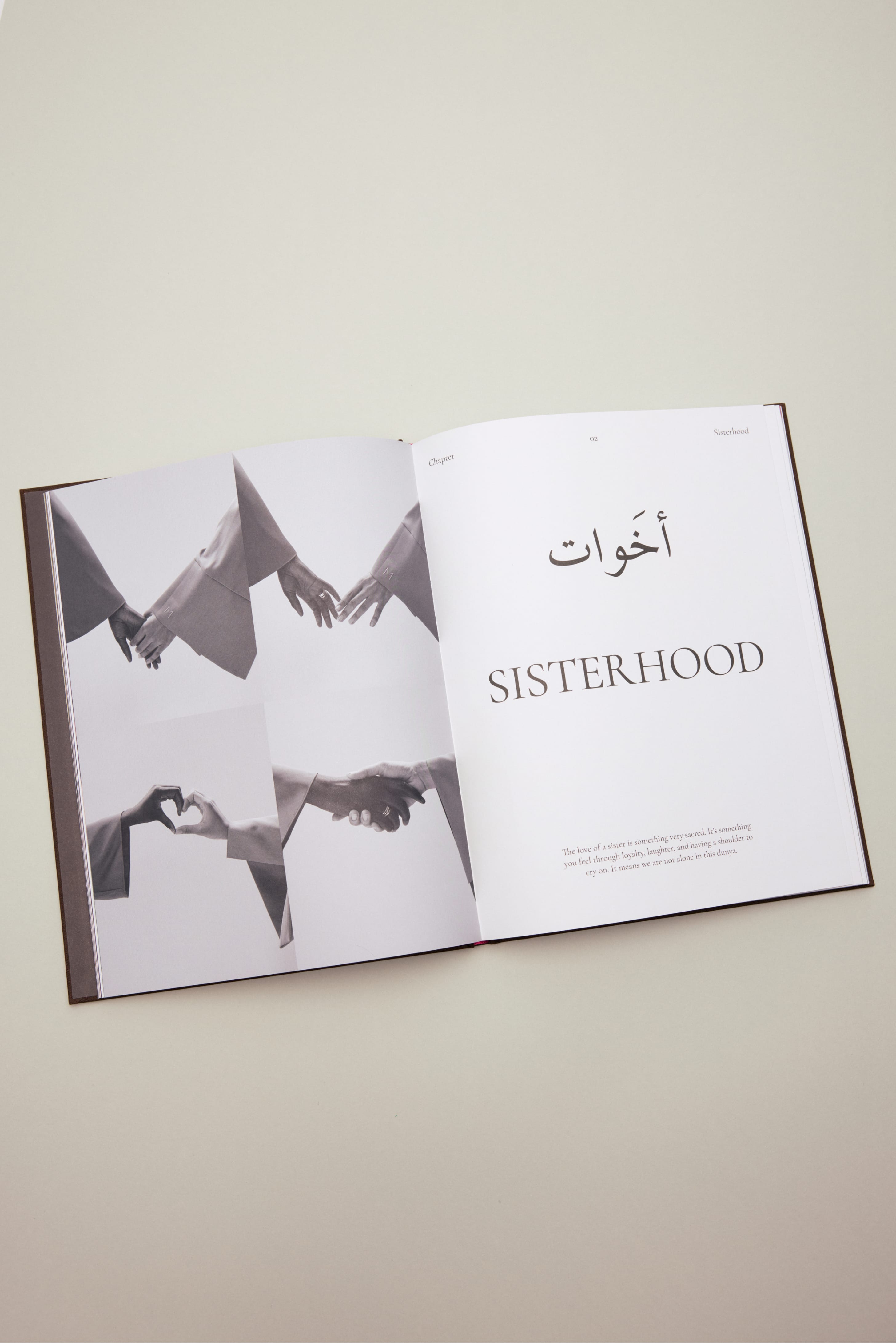 Together, We Belong Book | Chocolate