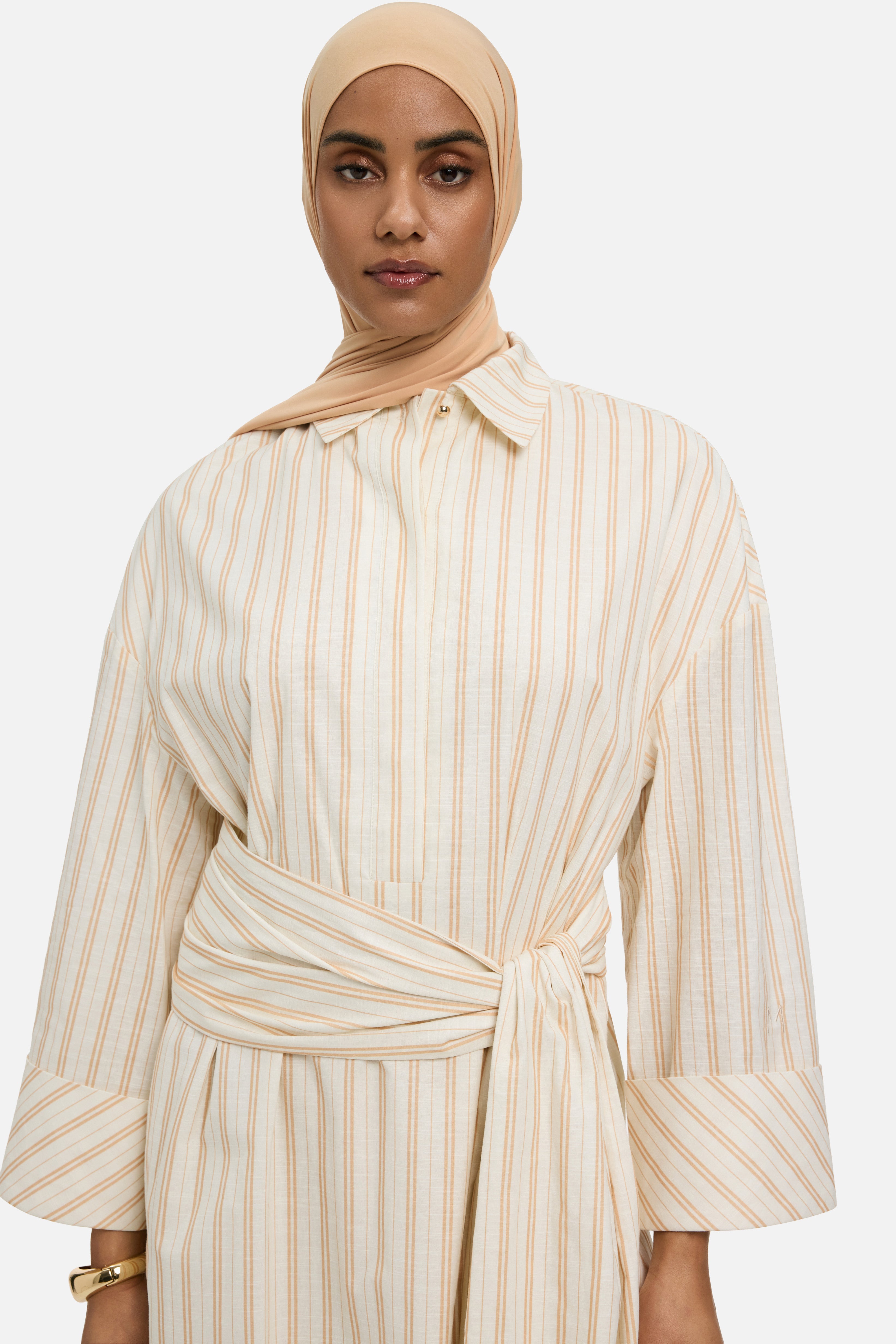 Striped Shirt Dress | Biscotti Stripe