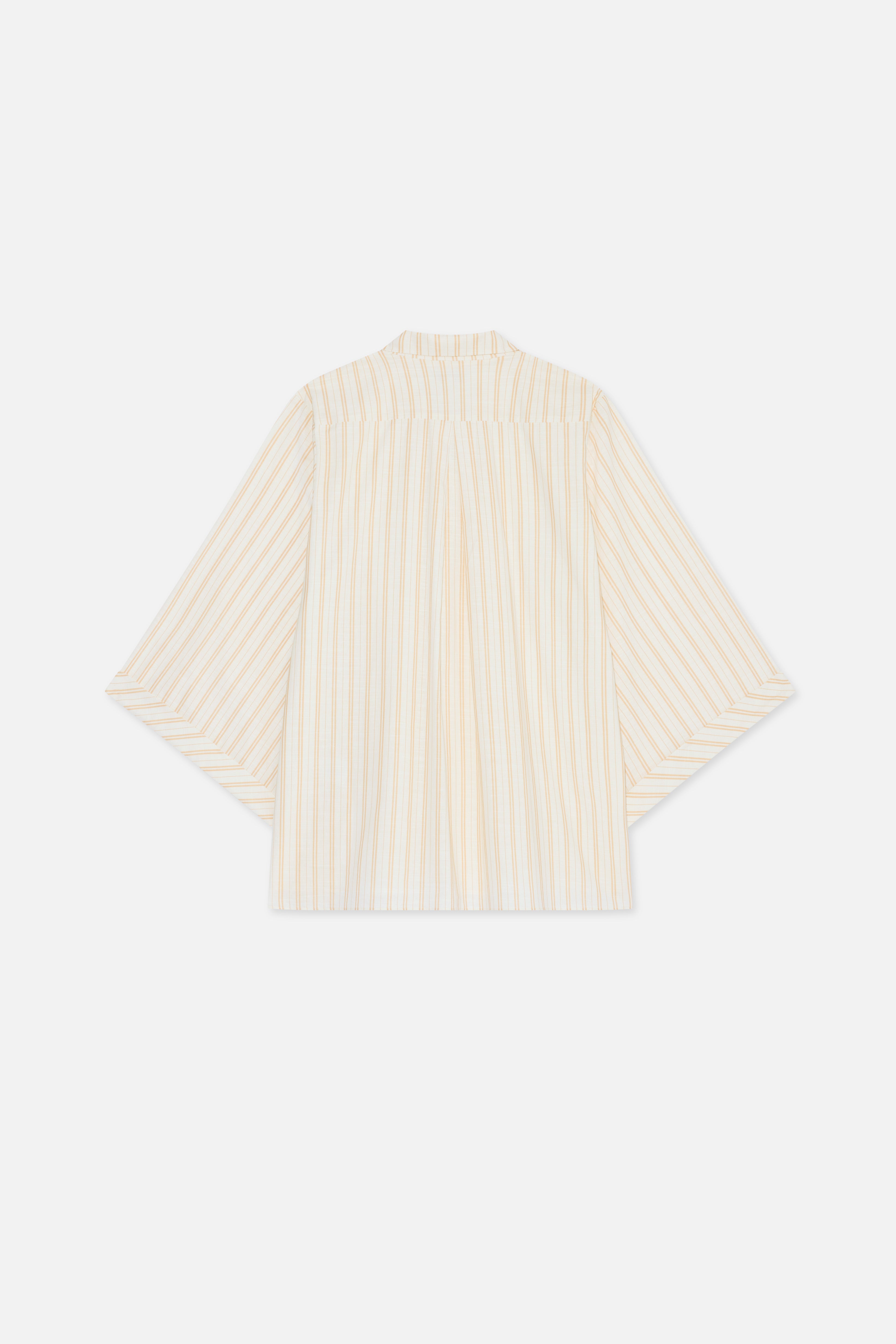 Striped Volume Shirt | Biscotti Stripe