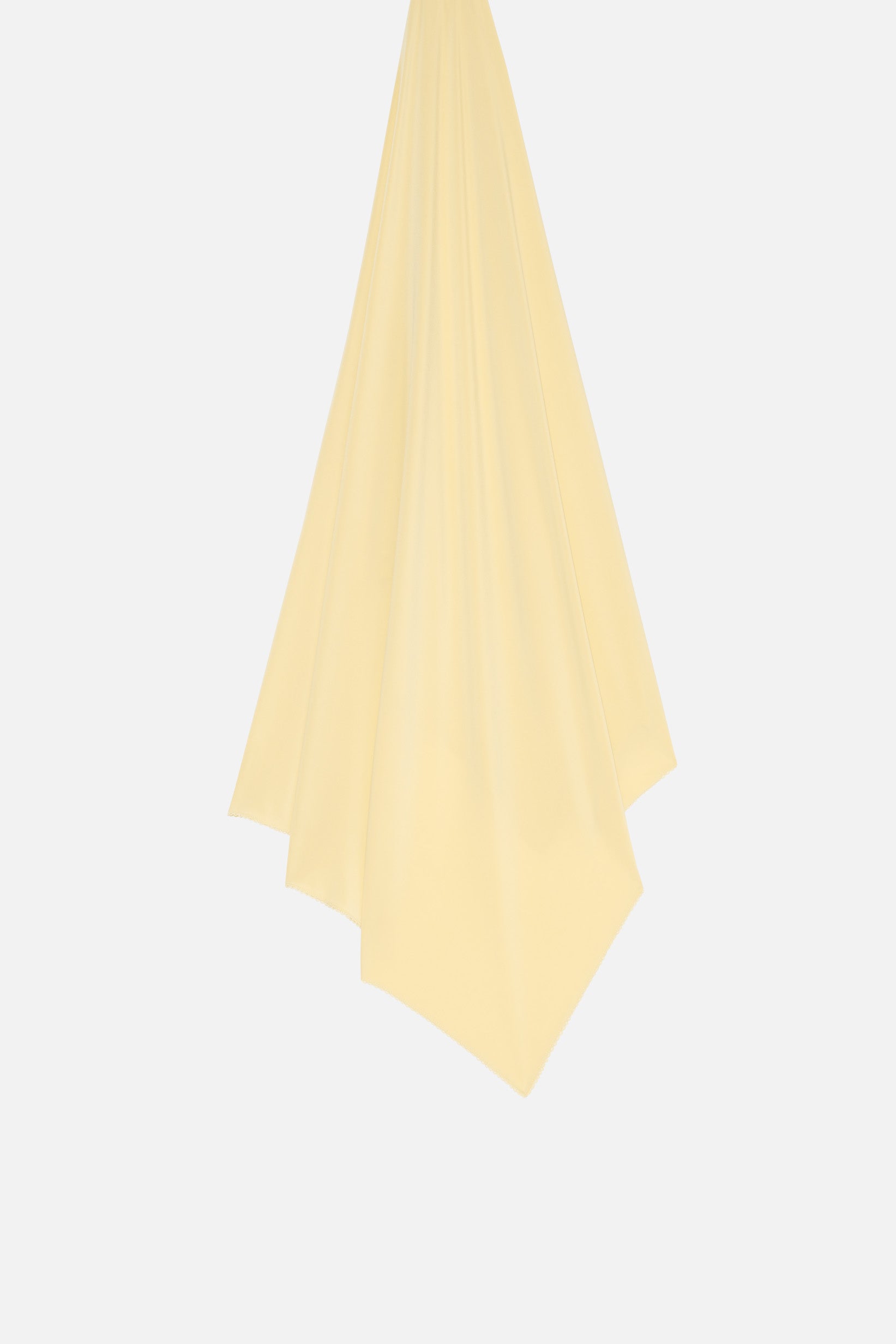 The Scallop Premium | White Honey