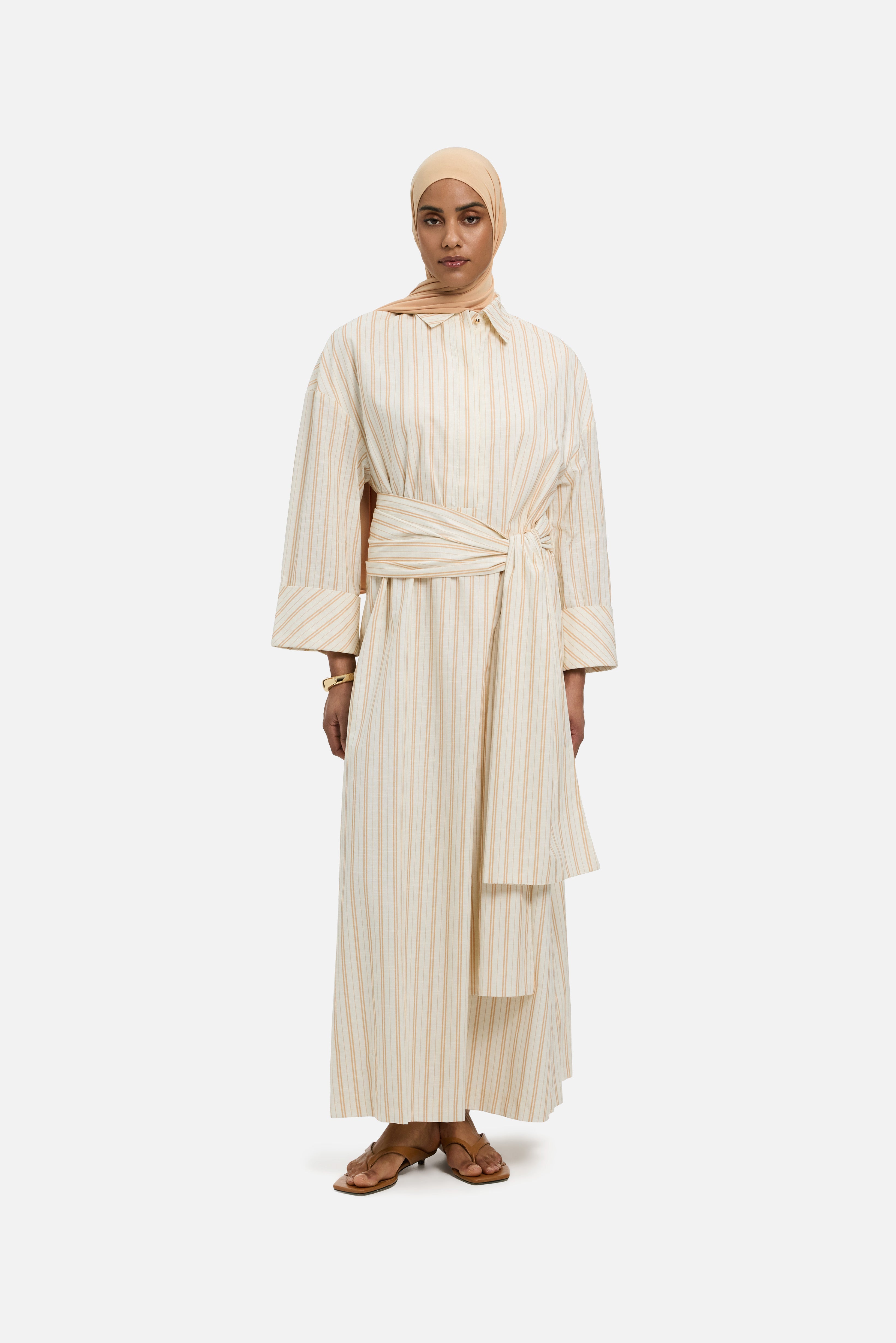 Striped Shirt Dress | Biscotti Stripe