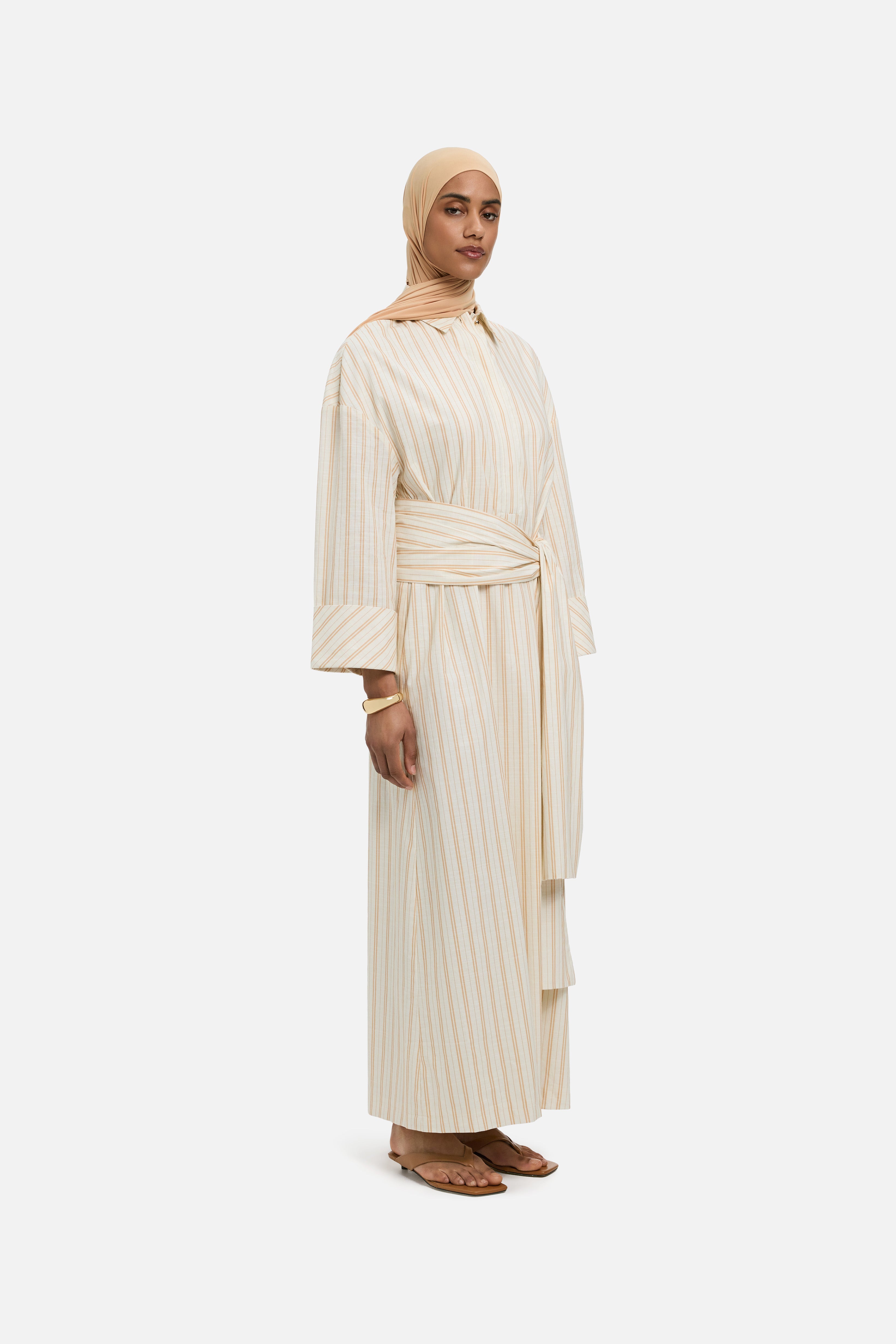Striped Shirt Dress | Biscotti Stripe