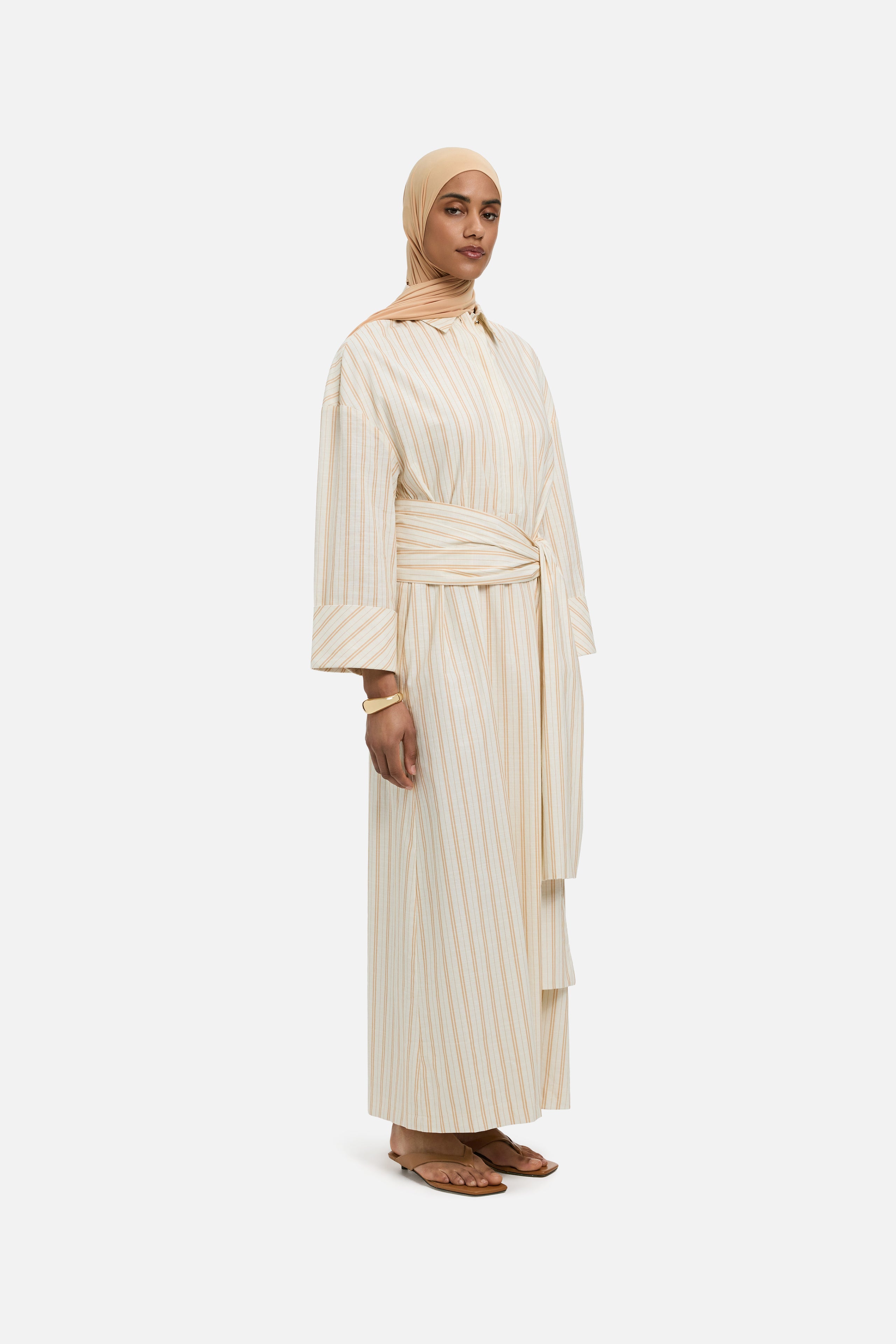 Striped Shirt Dress | Biscotti Stripe