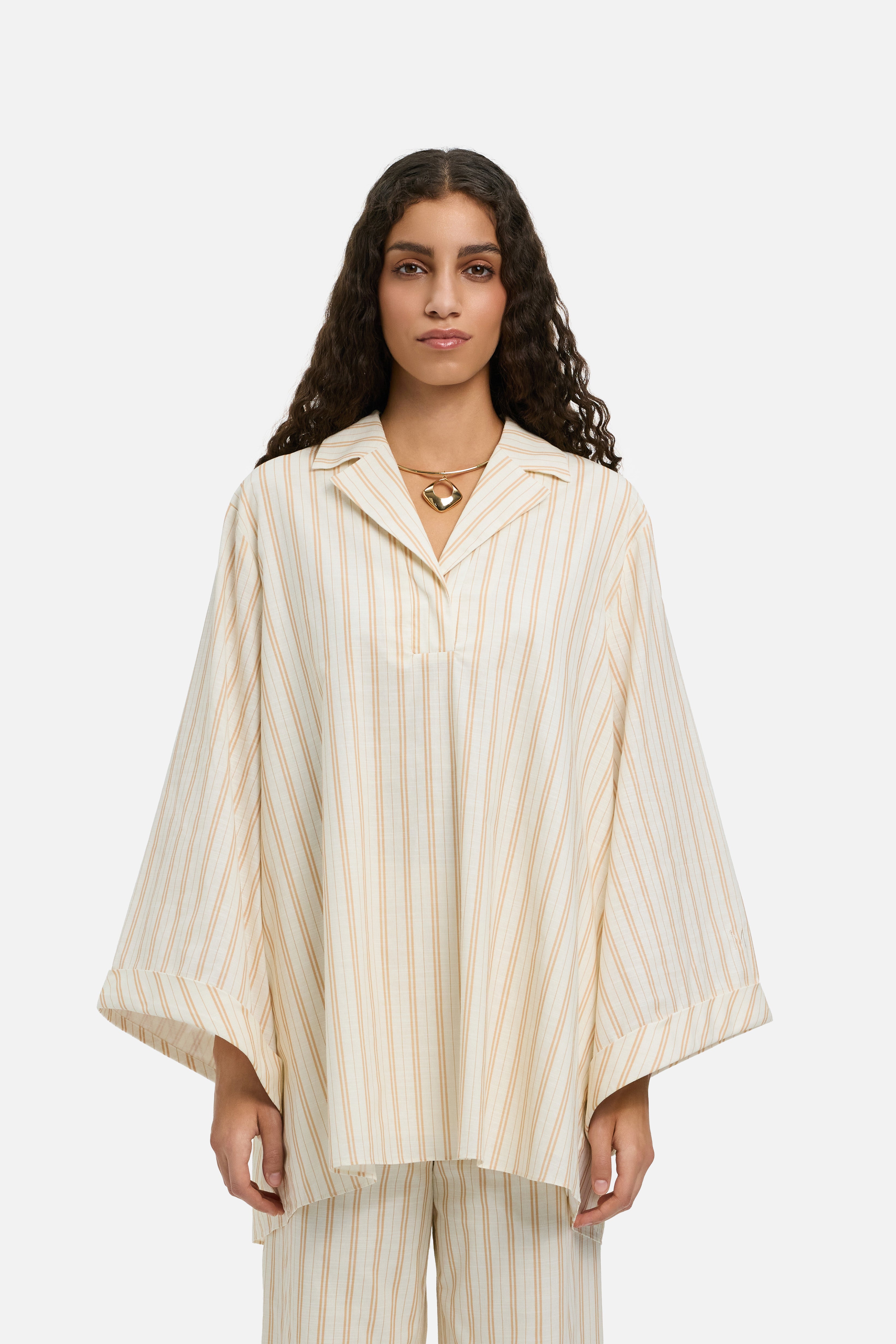 Striped Volume Shirt | Biscotti Stripe