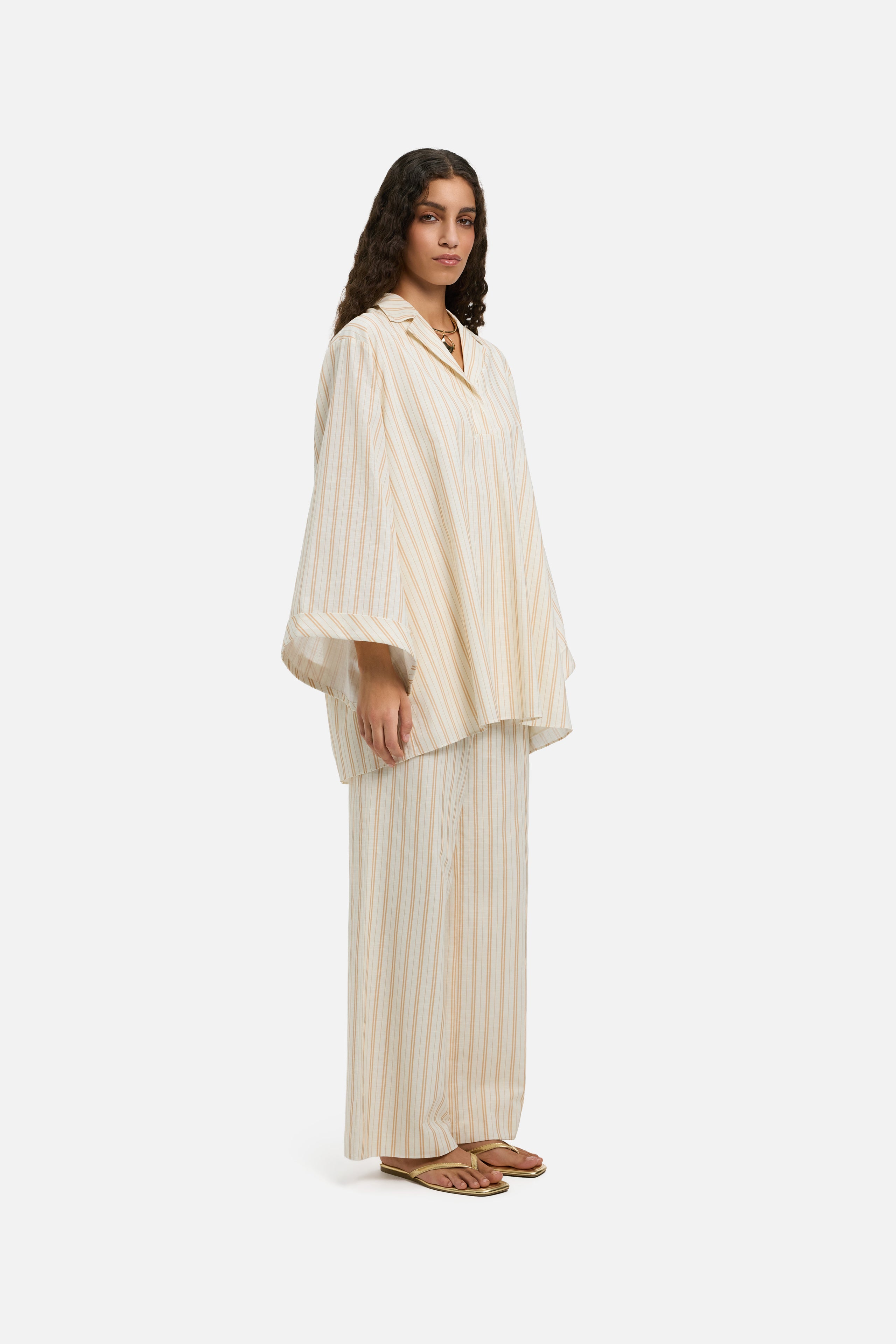 Striped Volume Shirt | Biscotti Stripe